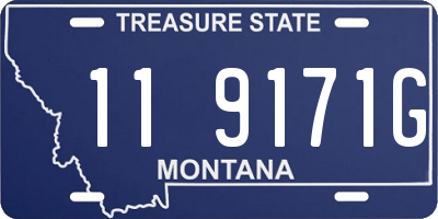 MT license plate 119171G