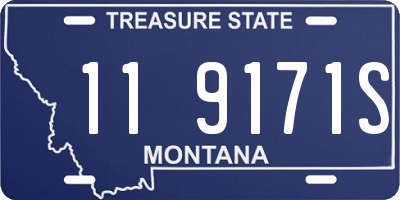 MT license plate 119171S