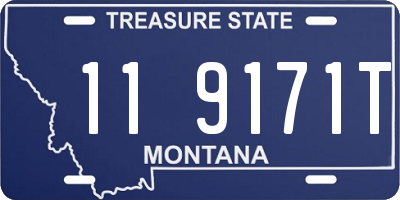 MT license plate 119171T