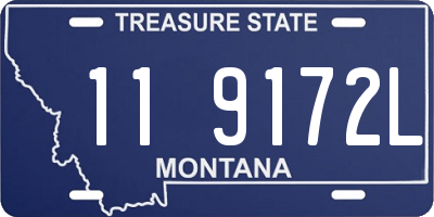 MT license plate 119172L