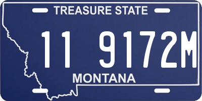 MT license plate 119172M