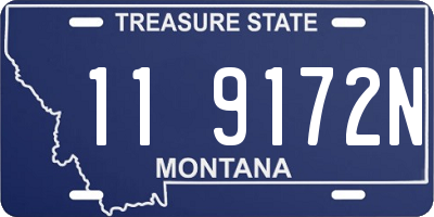MT license plate 119172N