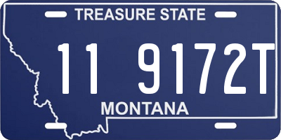 MT license plate 119172T