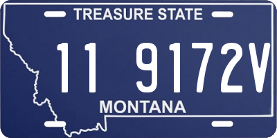 MT license plate 119172V