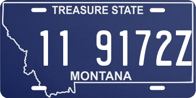 MT license plate 119172Z