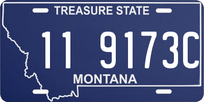 MT license plate 119173C
