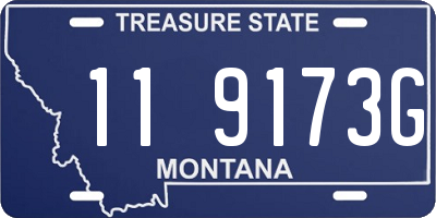MT license plate 119173G