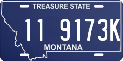 MT license plate 119173K