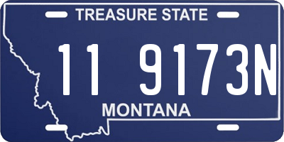 MT license plate 119173N