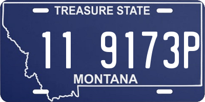 MT license plate 119173P