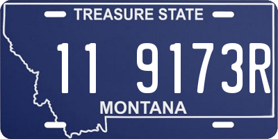 MT license plate 119173R