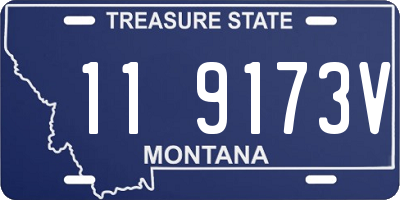 MT license plate 119173V