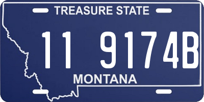 MT license plate 119174B