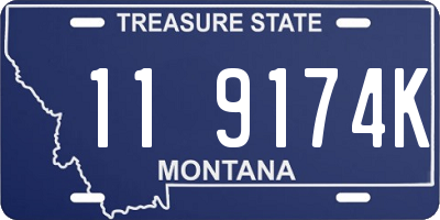 MT license plate 119174K