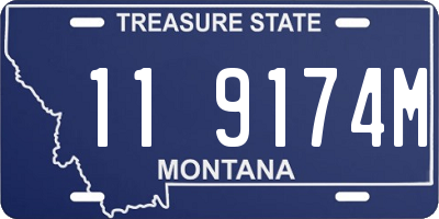 MT license plate 119174M