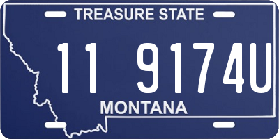 MT license plate 119174U