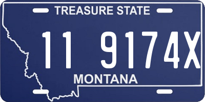 MT license plate 119174X