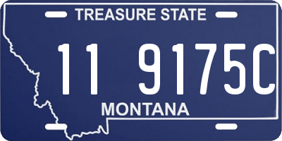 MT license plate 119175C