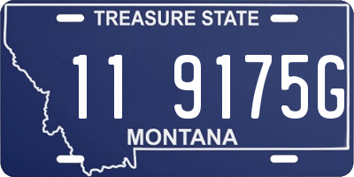 MT license plate 119175G