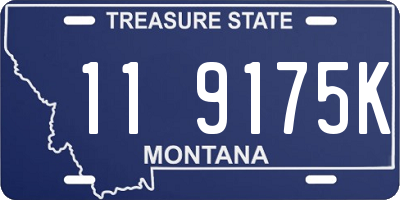 MT license plate 119175K