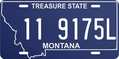 MT license plate 119175L