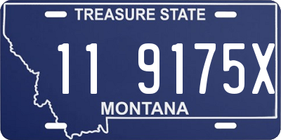 MT license plate 119175X