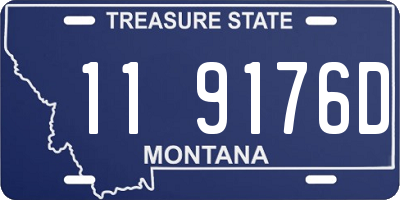 MT license plate 119176D