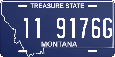 MT license plate 119176G