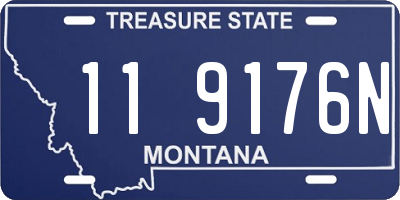 MT license plate 119176N