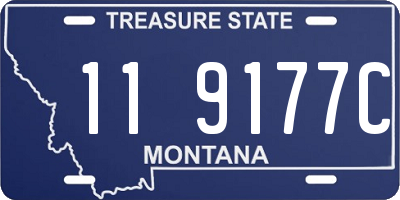 MT license plate 119177C