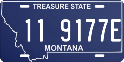 MT license plate 119177E