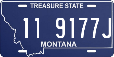 MT license plate 119177J