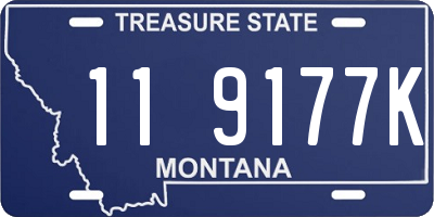 MT license plate 119177K