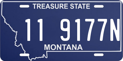 MT license plate 119177N