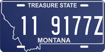 MT license plate 119177Z