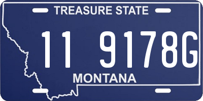 MT license plate 119178G