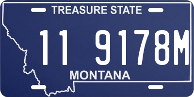 MT license plate 119178M