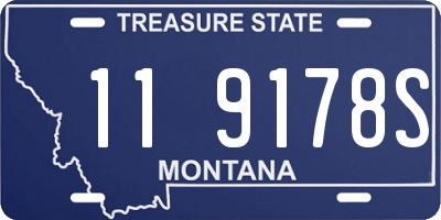 MT license plate 119178S