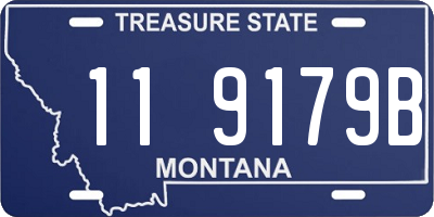MT license plate 119179B