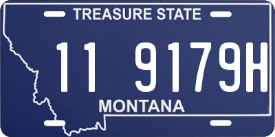 MT license plate 119179H