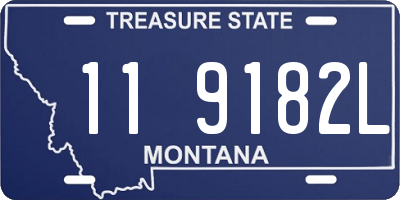 MT license plate 119182L