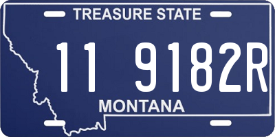 MT license plate 119182R