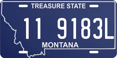MT license plate 119183L