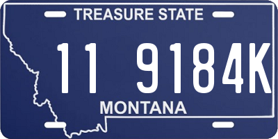 MT license plate 119184K