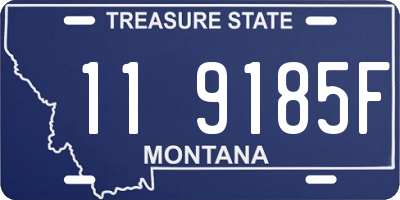 MT license plate 119185F