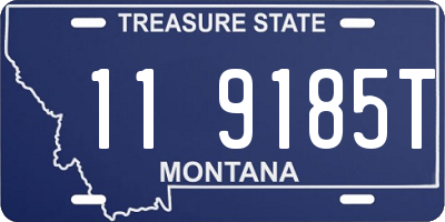 MT license plate 119185T
