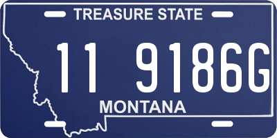 MT license plate 119186G