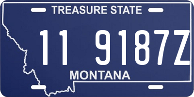 MT license plate 119187Z