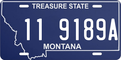 MT license plate 119189A