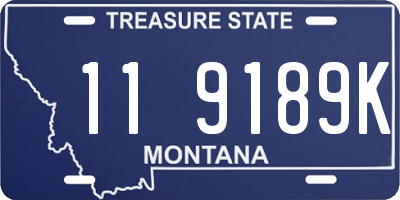 MT license plate 119189K